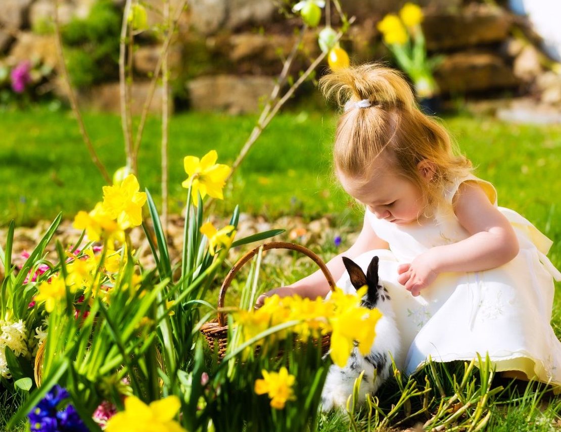 Apr2025CoverImage_GirlRabbitOutside.