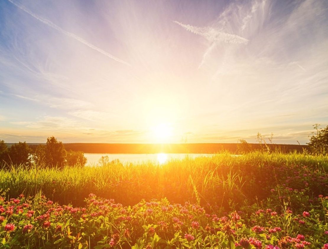 Summer2025NewsletterCvrImage_Summerscape