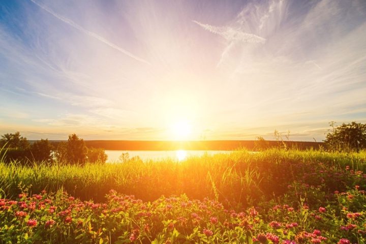 Summer2025NewsletterCvrImage_Summerscape