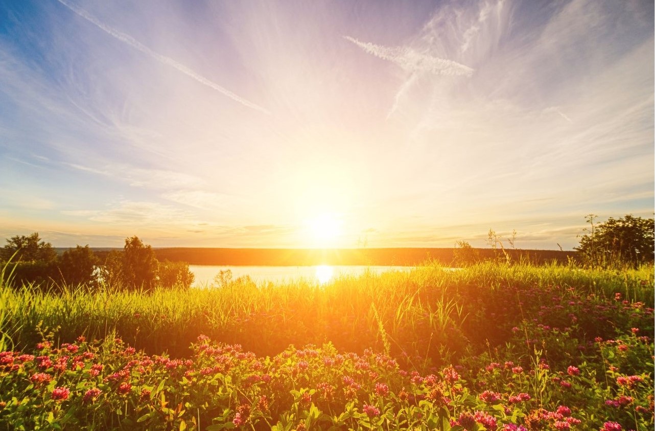 Summer2025NewsletterCvrImage_Summerscape
